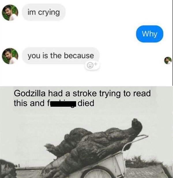 im crying Why you is the because Godzilla had a stroke trying to read this and died