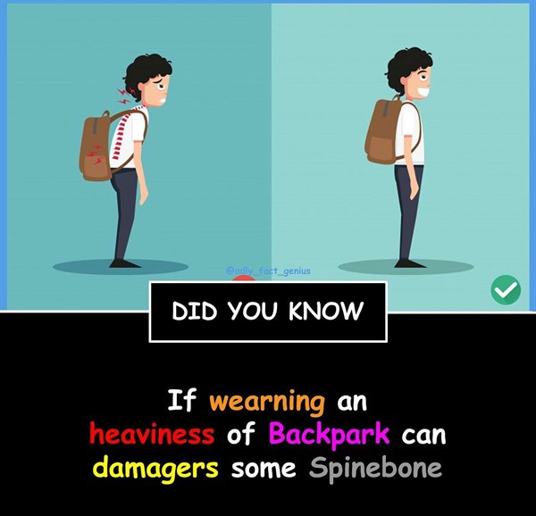 Did You Know If wearning an heaviness of Backpark can damagers some Spinebone
