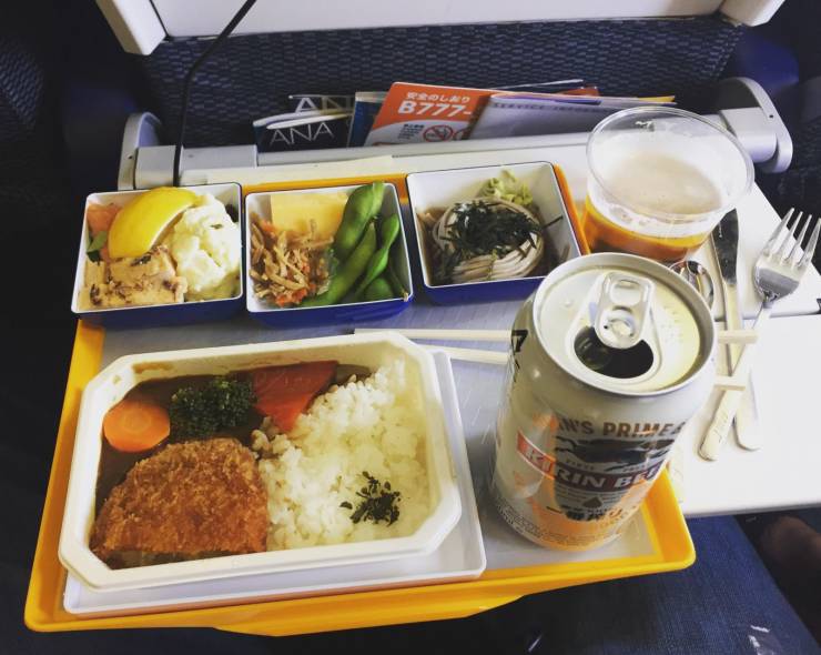 “Economy class meal on Japanese Airline.”