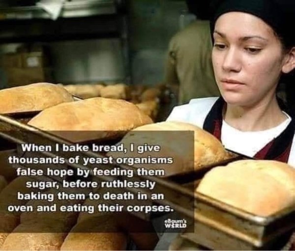 bread baking memes - When I bake bread, I give thousands of yeast organisms false hope by feeding them sugar, before ruthlessly baking them to death in an oven and eating their corpses. eBoum's Wrld