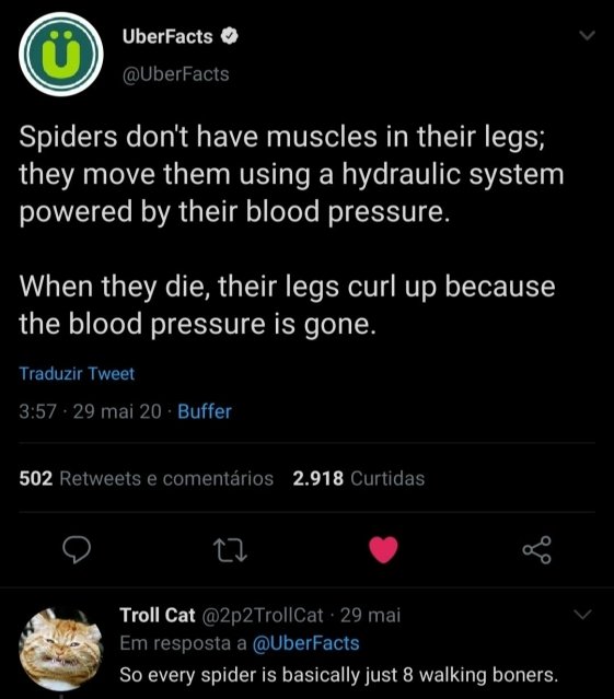 screenshot - UberFacts Spiders don't have muscles in their legs; they move them using a hydraulic system powered by their blood pressure. When they die, their legs curl up because the blood pressure is gone. Traduzir Tweet 29 mai 20. Buffer 502 e comentri