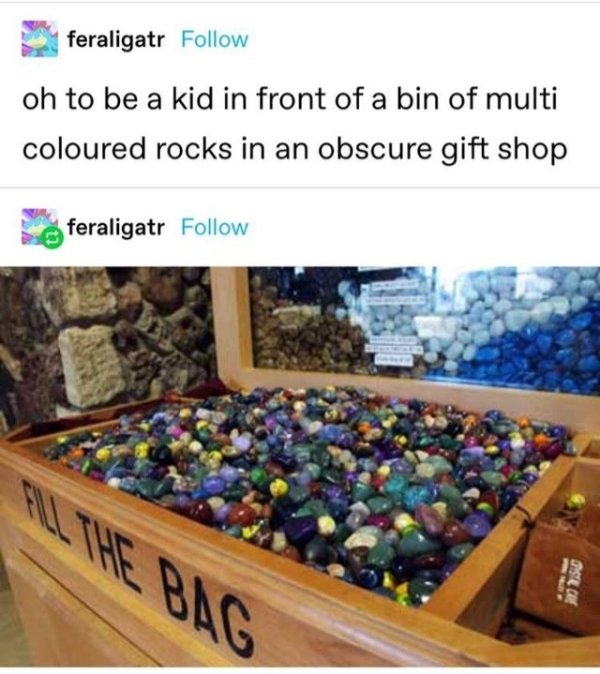 rock bin at gift shop - feraligatr oh to be a kid in front of a bin of multi coloured rocks in an obscure gift shop feraligatr Osu