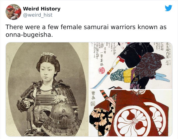 bushi class - Weird History There were a few female samurai warriors known as onnabugeisha. 175 we M