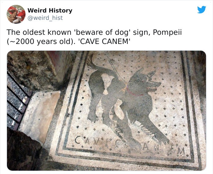mount vesuvius - Weird History The oldest known 'beware of dog' sign, Pompeii ~2000 years old. 'Cave Canem' Cave M
