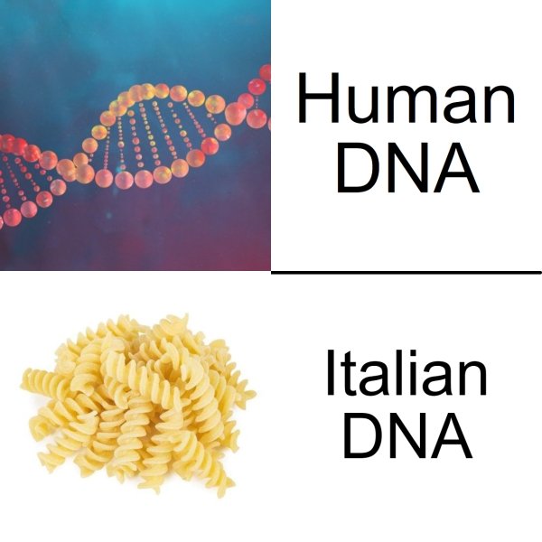 Human Dna Italian Dna