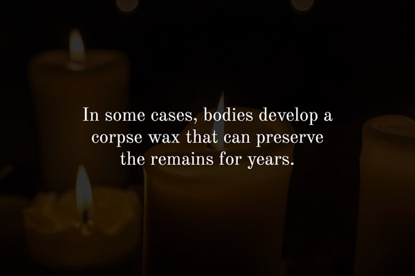 darkness - In some cases, bodies develop corpse wax that can preserve the remains for years.