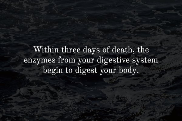 water resources - Within three days of death, the enzymes from your digestive system begin to digest your body.