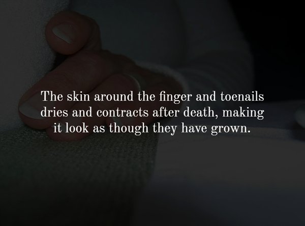 hand - The skin around the finger and toenails dries and contracts after death, making it look as though they have grown.
