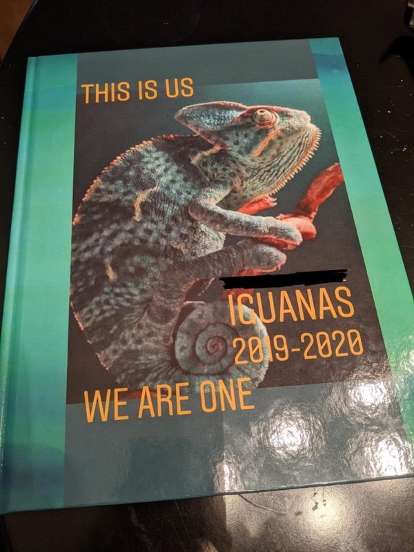 poster - This Is Us Iguanas 20192020 We Are One