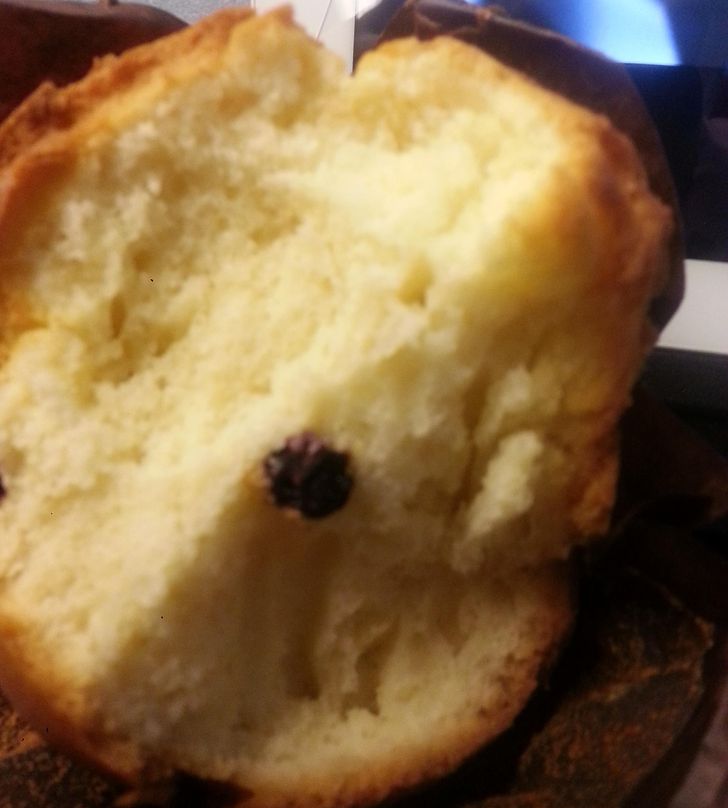 blueberry muffins funny