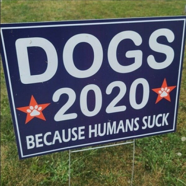 banner - Dogs 2020 Because Humans Suck