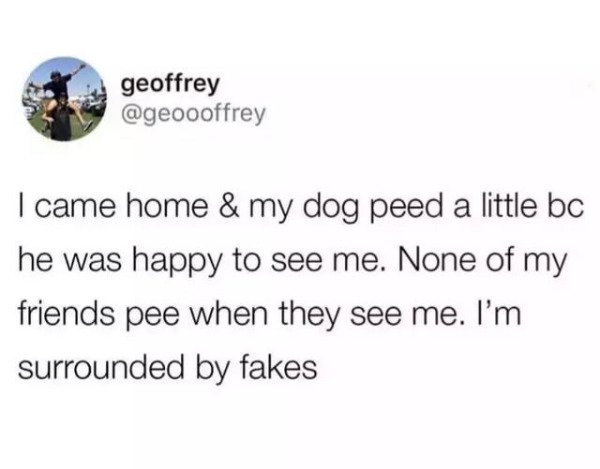 best funny tweets - geoffrey I came home & my dog peed a little bc he was happy to see me. None of my friends pee when they see me. I'm surrounded by fakes