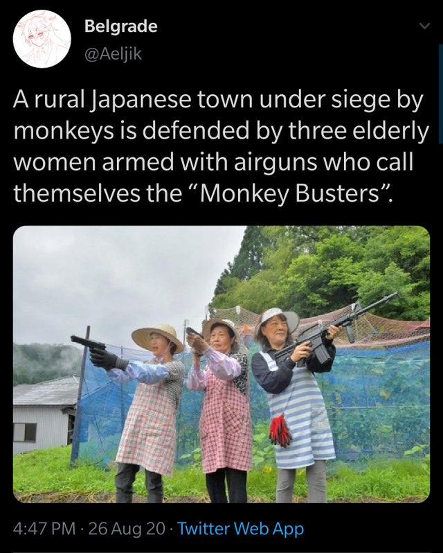 friendship - Belgrade A rural Japanese town under siege by monkeys is defended by three elderly women armed with airguns who call themselves the "Monkey Busters". 26 Aug 20 Twitter Web App
