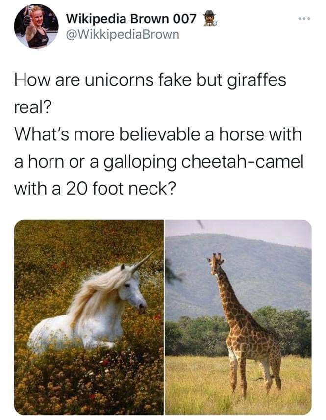 unicorns fake but giraffes - Wikipedia Brown 007 How are unicorns fake but giraffes real? What's more believable a horse with a horn or a galloping cheetahcamel with a 20 foot neck?