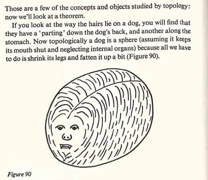 science diagrams that look like shitpost - Those are a few of the concepts and objects studied by topology now we'll look at a theorem. If you look at the way the hairs lie on a dog, you will find that they have a 'parting' down the dog's back, and anothe