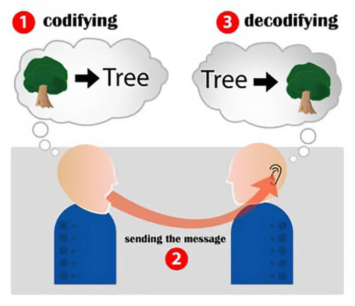 one model of communication - 1 codifying 3 decodifying Tree Tree sending the message 2