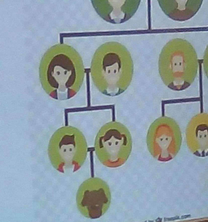 family tree cartoon