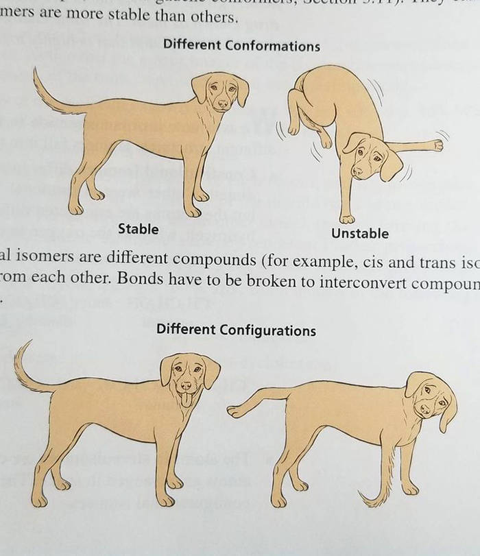 dog - mers are more stable than others. Different Conformations Stable Unstable al isomers are different compounds for example, cis and trans isc Com each other. Bonds have to be broken to interconvert compoun Different Configurations