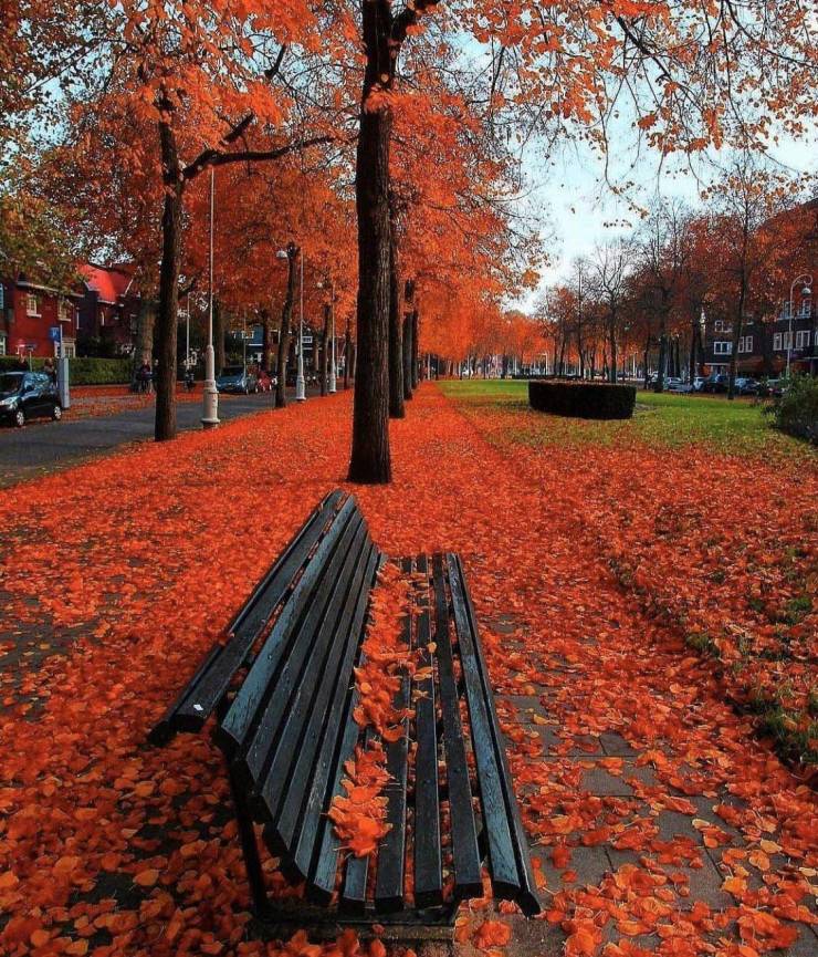 amsterdam autumn