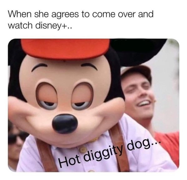 funny disney memes - When she agrees to come over and watch disney.. Hot diggity dog...