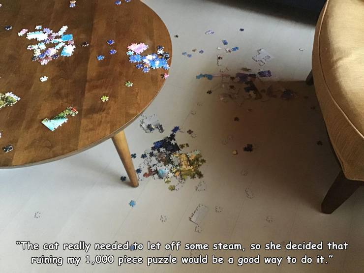 table - "The cat really needed to let off some steam, so she decided that ruining my 1,000 piece puzzle would be a good way to do it."