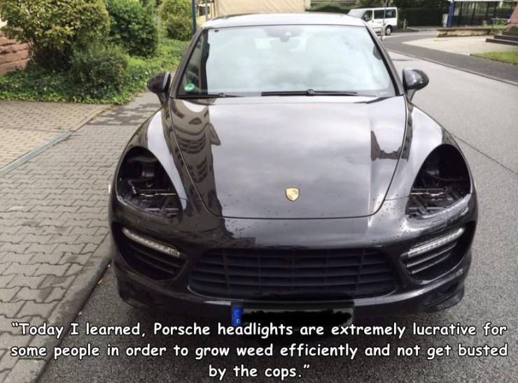 supercar - "Today I learned, Porsche headlights are extremely lucrative for some people in order to grow weed efficiently and not get busted by the cops."