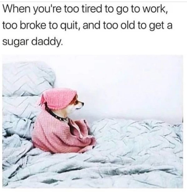 work memes - tired meme work - When you're too tired to go to work, too broke to quit, and too old to get a sugar daddy