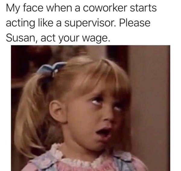 work memes - act your wage susan meme - My face when a coworker starts acting a supervisor. Please Susan, act your wage.