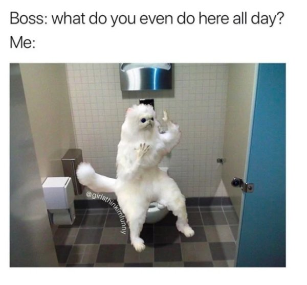 work memes - Toilet - Boss what do you even do here all day? Me hinkimfunny