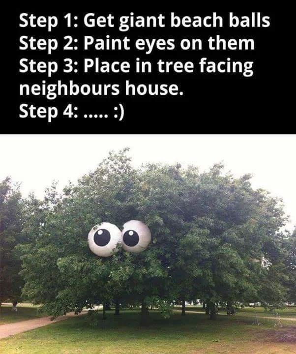 funny neighbor pranks - Step 1 Get giant beach balls Step 2 Paint eyes on them Step 3 Place in tree facing neighbours house. Step 4 .....