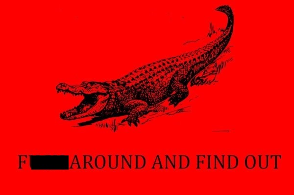 fuck around and find out flag - F Around And Find Out