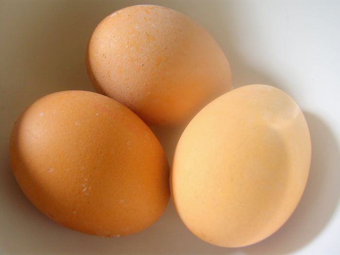 You can substitute blood for eggs in any recipe! 65g of blood can be used in place of one regular egg