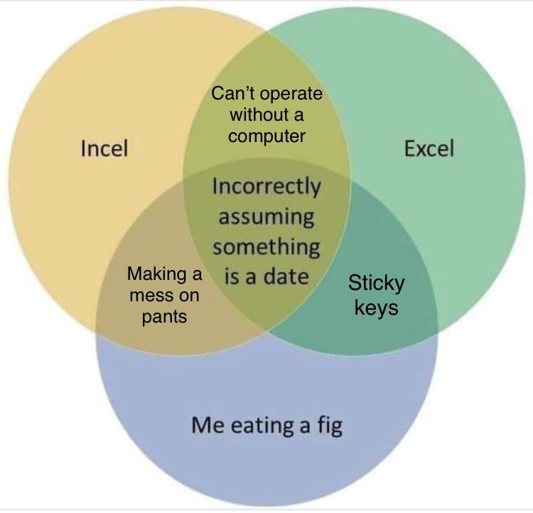 incel excel fig - Excel Can't operate without a computer Incel Incorrectly assuming something Making a is a date mess on Sticky keys pants Me eating a fig