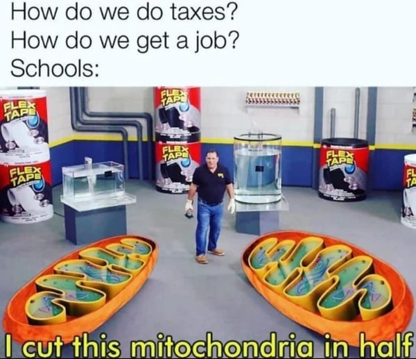 relatable memes - don t feel so good meme flex tape - How do we do taxes? How do we get a job? Schools Fle Fle Tart Tar Flex Tape Flex Tape Flex Fl Tape Ta 23 I cut this mitochondria in half