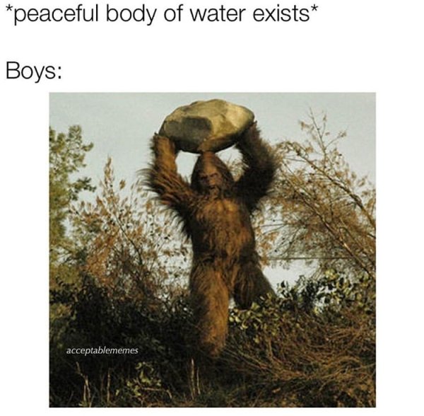 relatable memes - bigfoot sightings - peaceful body of water exists Boys acceptablememes
