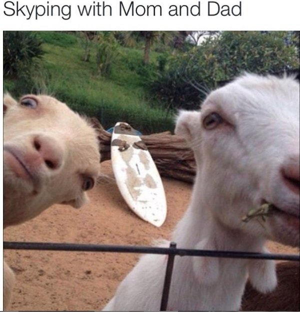 relatable memes - funny posts for instagram - Skyping with Mom and Dad