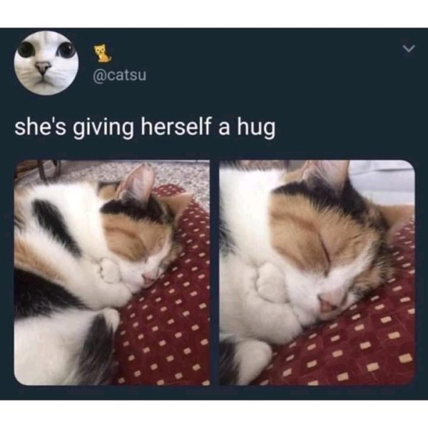 baby animals cute memes - she's giving herself a hug