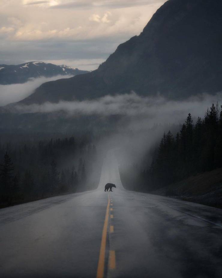 Jasper National Park Of Canada