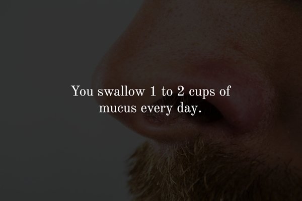 close up - You swallow 1 to 2 cups of mucus every day.