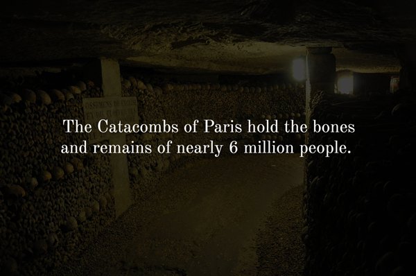 darkness - The Catacombs of Paris hold the bones and remains of nearly 6 million people.