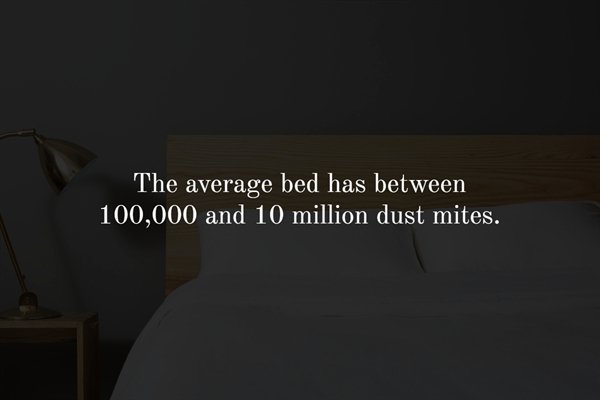 light - The average bed has between 100,000 and 10 million dust mites.