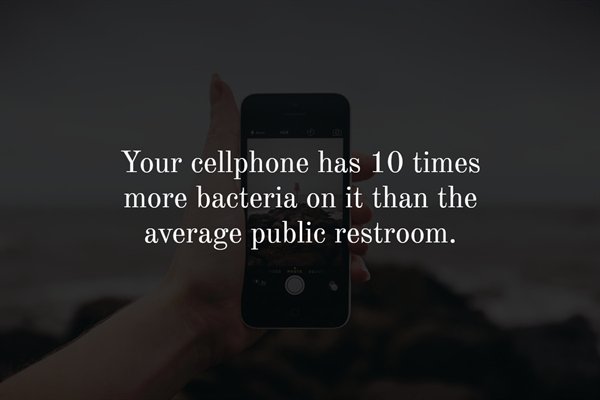 galeria kazimierz - Your cellphone has 10 times more bacteria on it than the average public restroom.