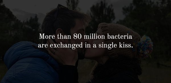 pampered chef happy spoon - More than 80 million bacteria exchanged in a single kiss.