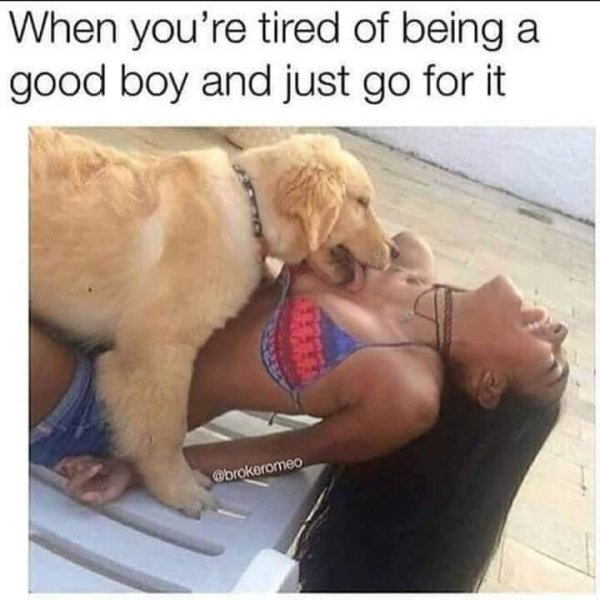 you are tired of being a good boy - When you're tired of being a good boy and just go for it