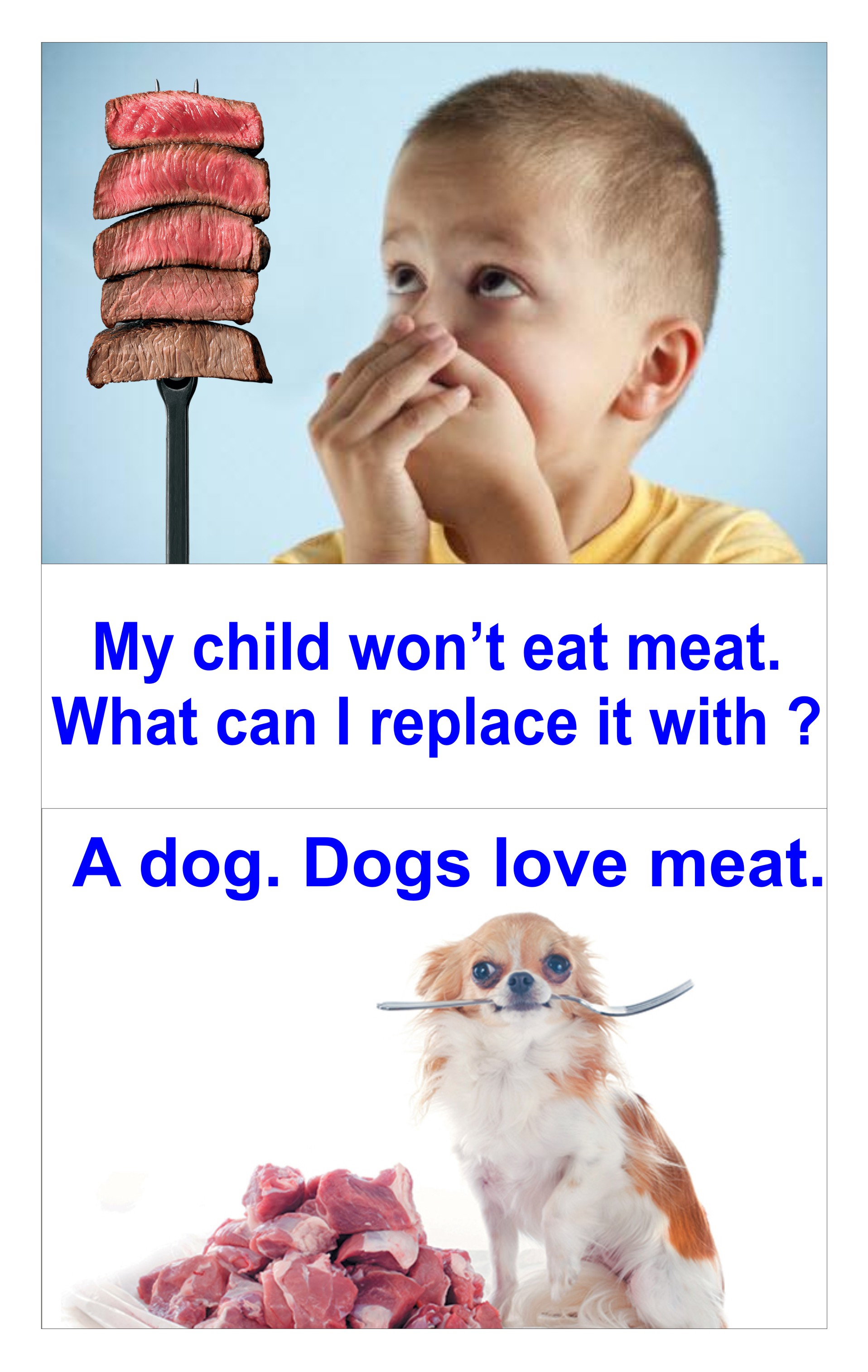 my medical vacations - My child won't eat meat. What can I replace it with ? A dog. Dogs love meat.