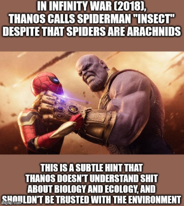 thanos hd wallpapers for pc - In Infinity War 2018, Thanos Calls Spiderman "Insect" Despite That Spiders Are Arachnids This Is A Subtle Hint That Thanos Doesn'T Understand Shit About Biology And Ecology, And Shouldn'T Be Trusted With The Environment