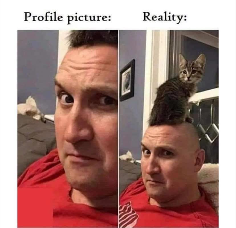 profile picture meme - Profile picture Reality