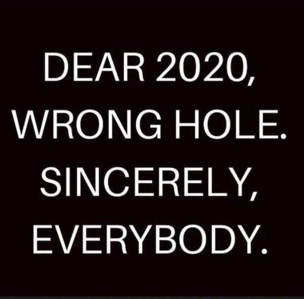 dutch heroes - Dear 2020, Wrong Hole. Sincerely, Everybody.