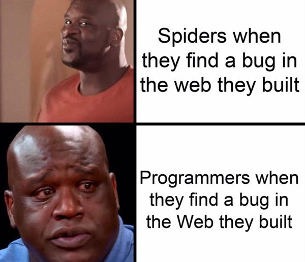 Internet meme - Spiders when they find a bug in the web they built Programmers when they find a bug in the Web they built