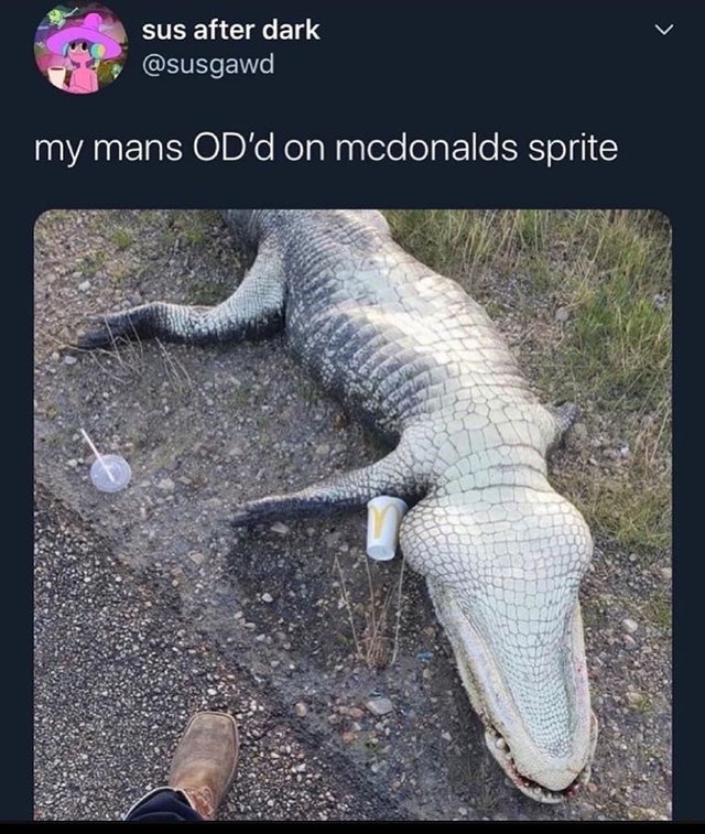 mcdonald's sprite got him - sus after dark my mans Od'd on mcdonalds sprite